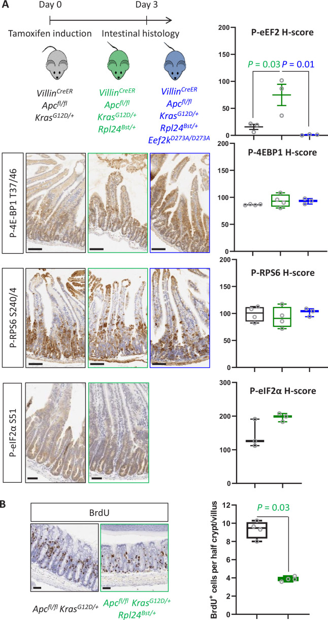 Figure 2—figure supplement 1.