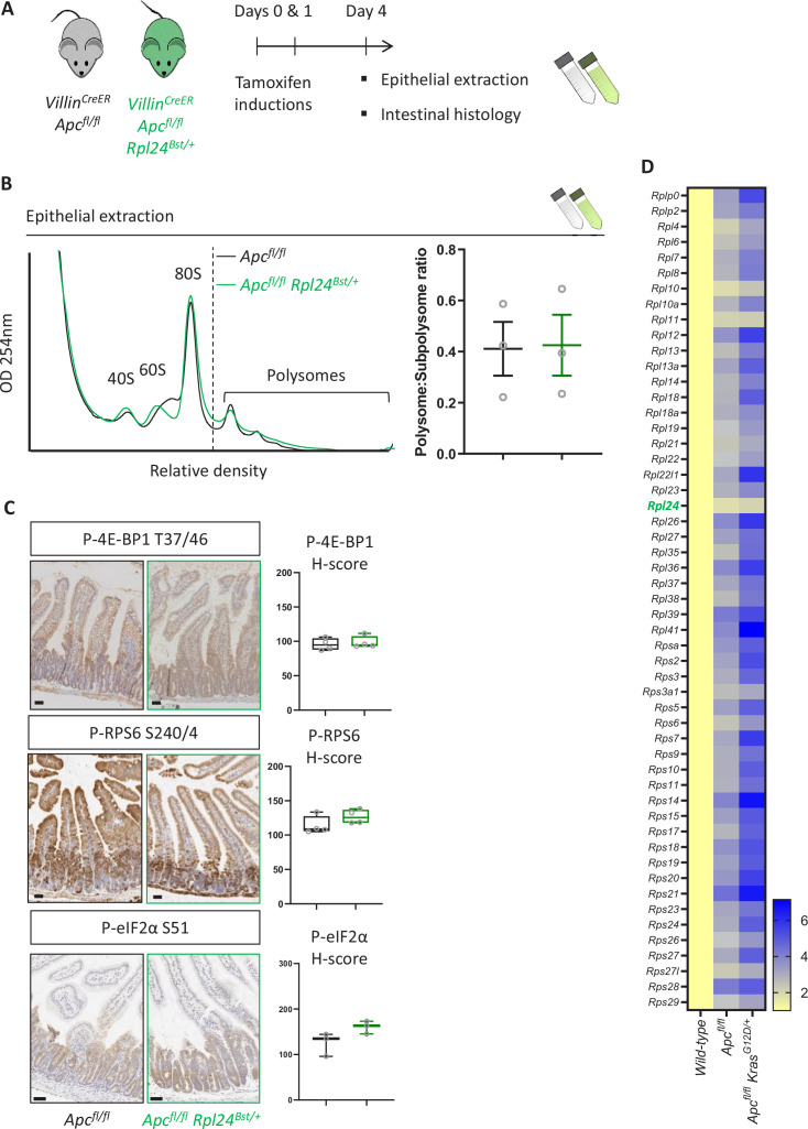 Figure 4—figure supplement 2.