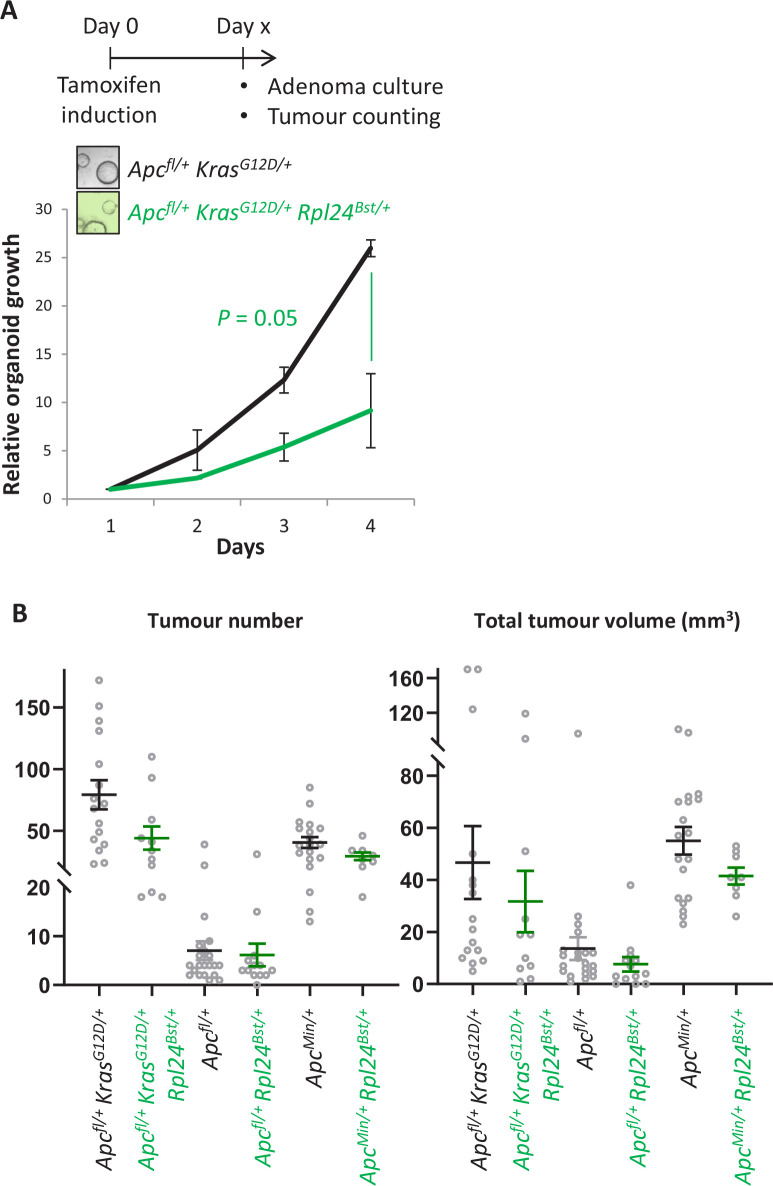 Figure 2—figure supplement 2.