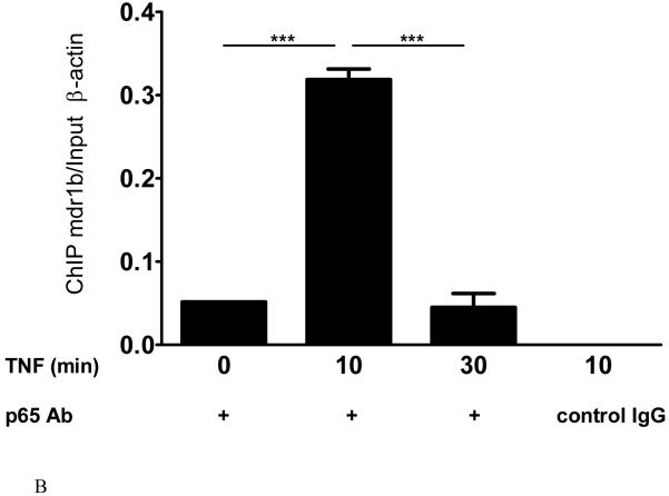 Fig.6