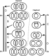 FIG. 8.