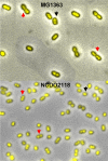 FIG. 4.
