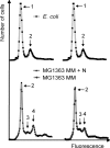 FIG. 9.
