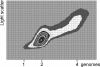FIG. 10.