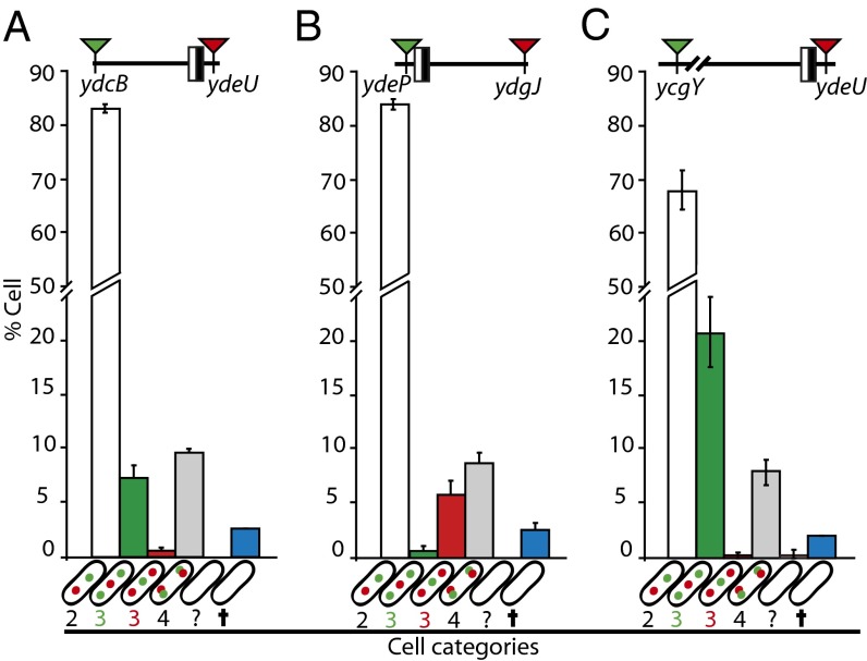 Fig. 4.