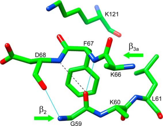 FIGURE 4.