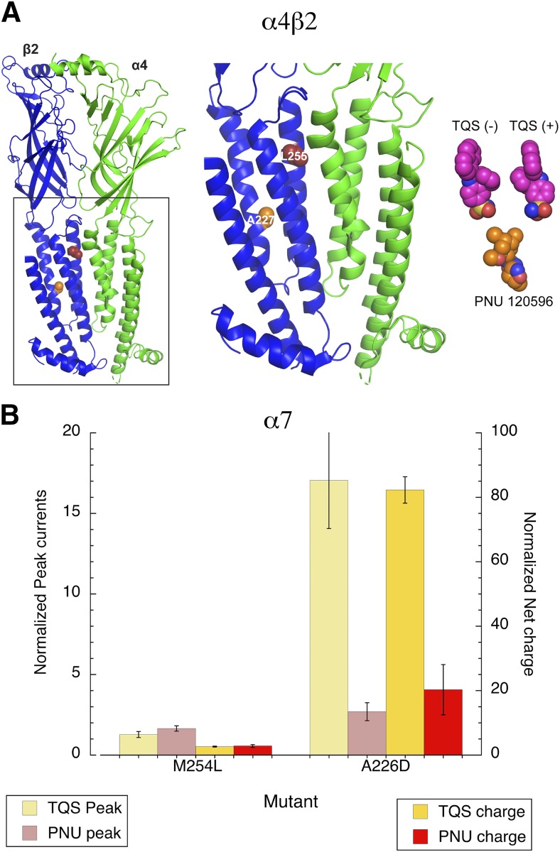 Fig. 13.