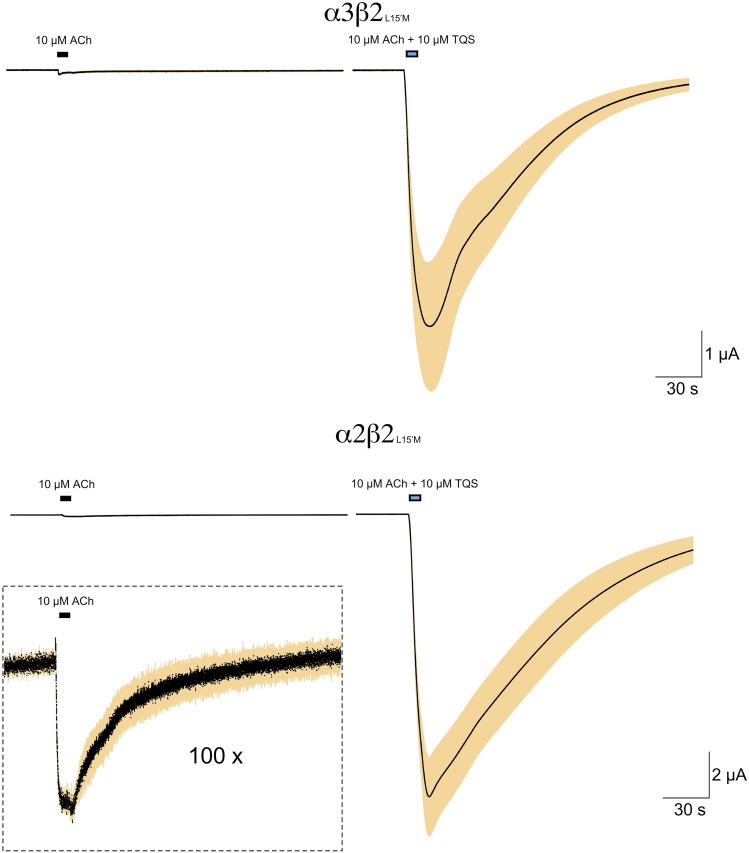 Fig. 11.