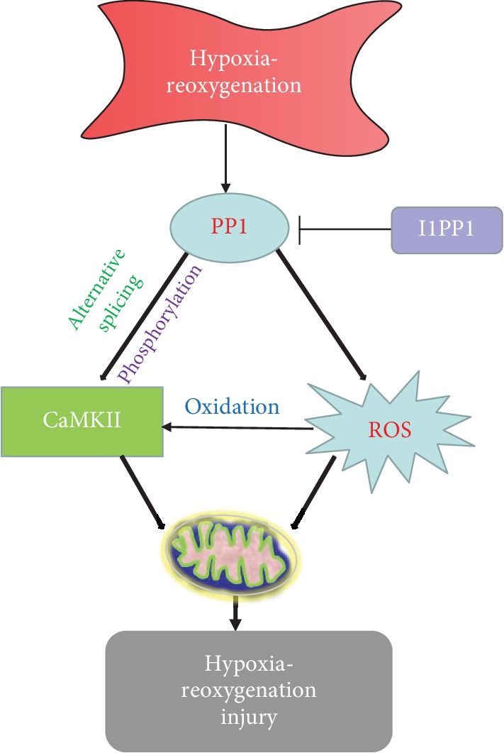 Figure 13