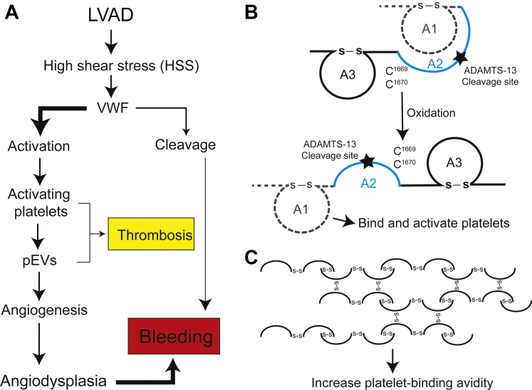 Figure 7