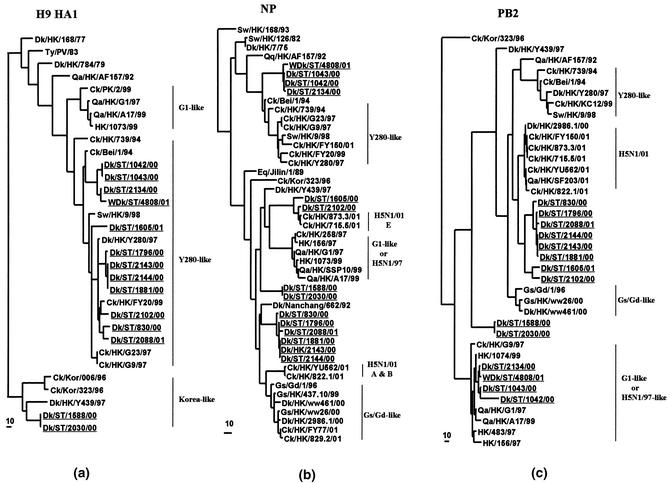 FIG. 1.