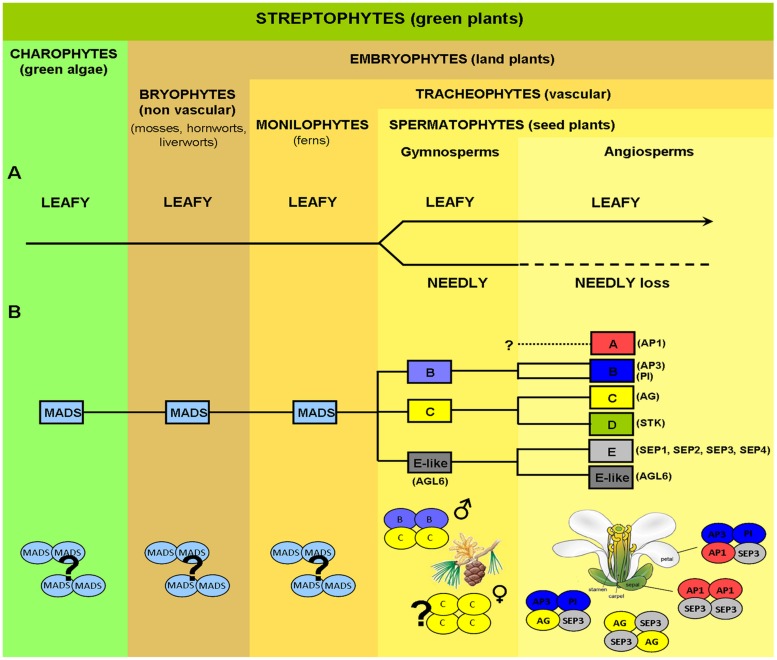 FIGURE 1