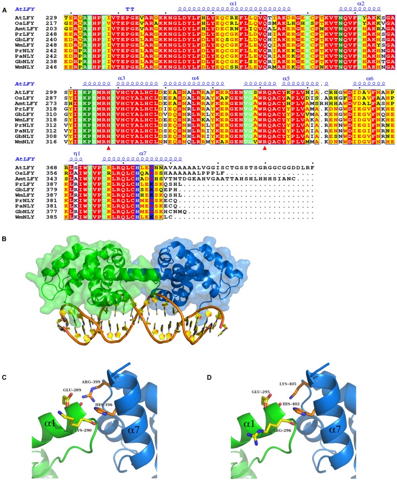 FIGURE 3