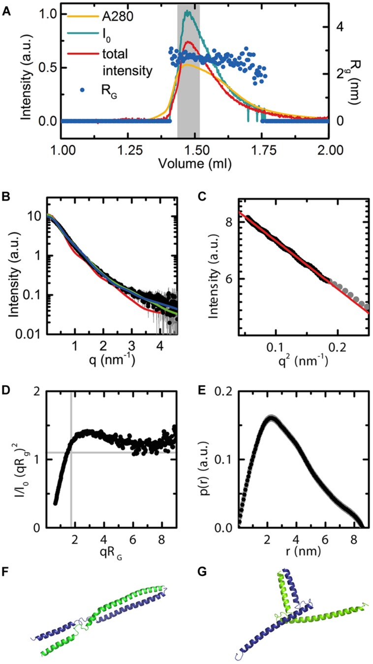 FIGURE 7