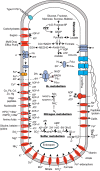 FIG 7