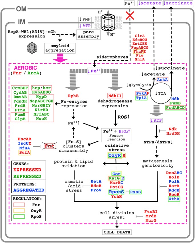 FIGURE 9