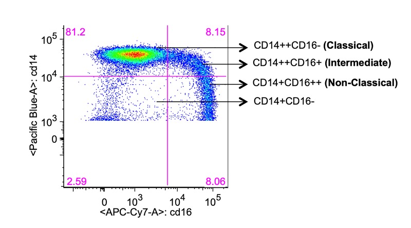 Supplementary Figure 1.