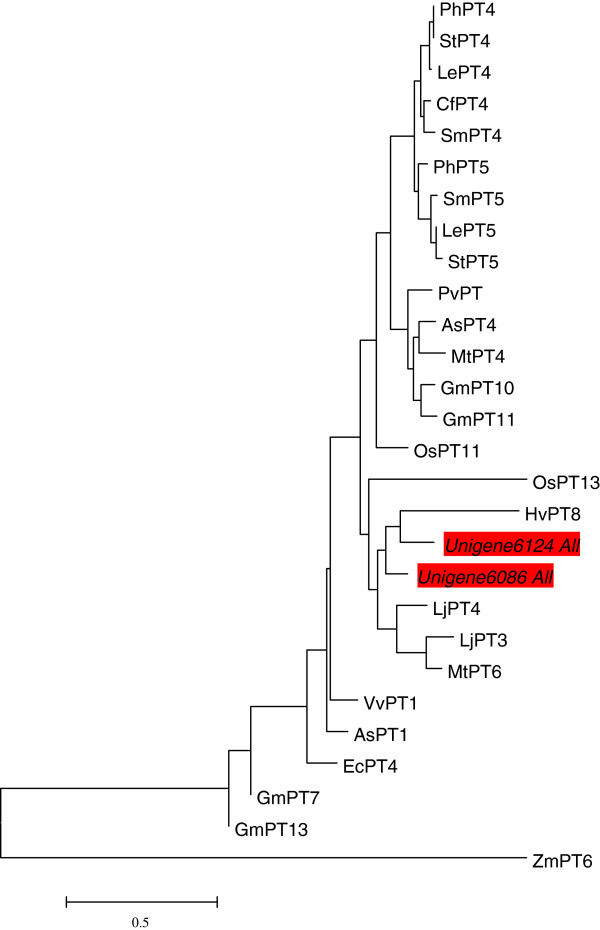 Figure 6