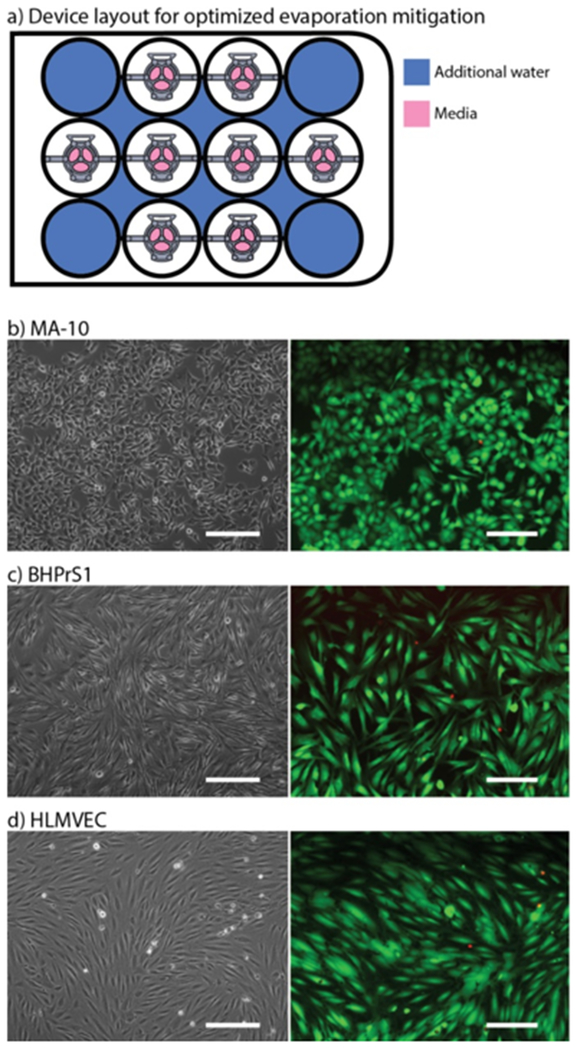 Figure 3.