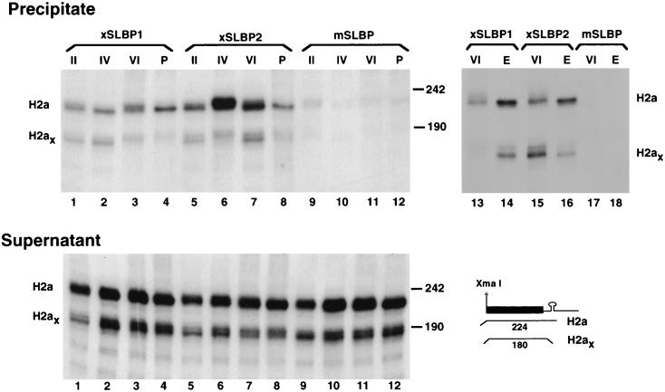 FIG. 6