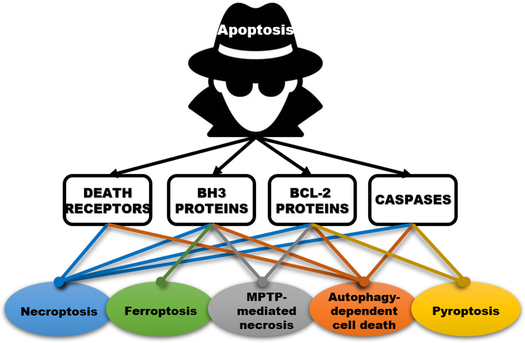 Figure 1: