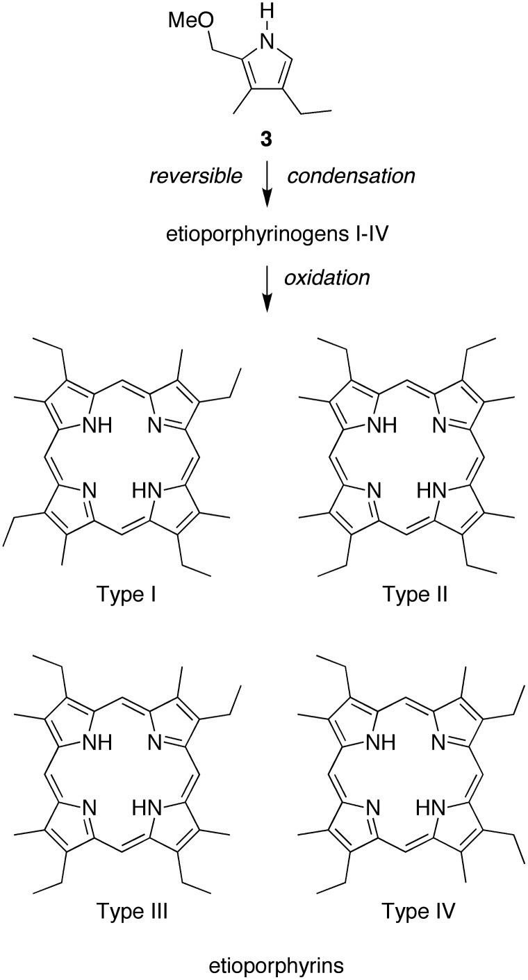 SCHEME 5.