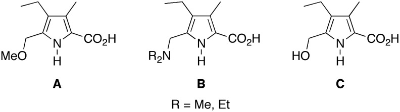 SCHEME 6.