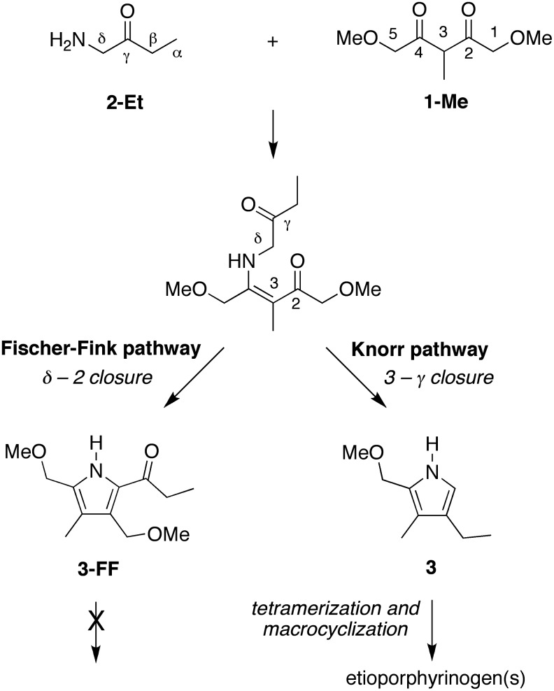 SCHEME 7.