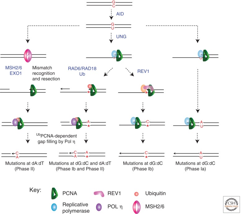 Figure 4.