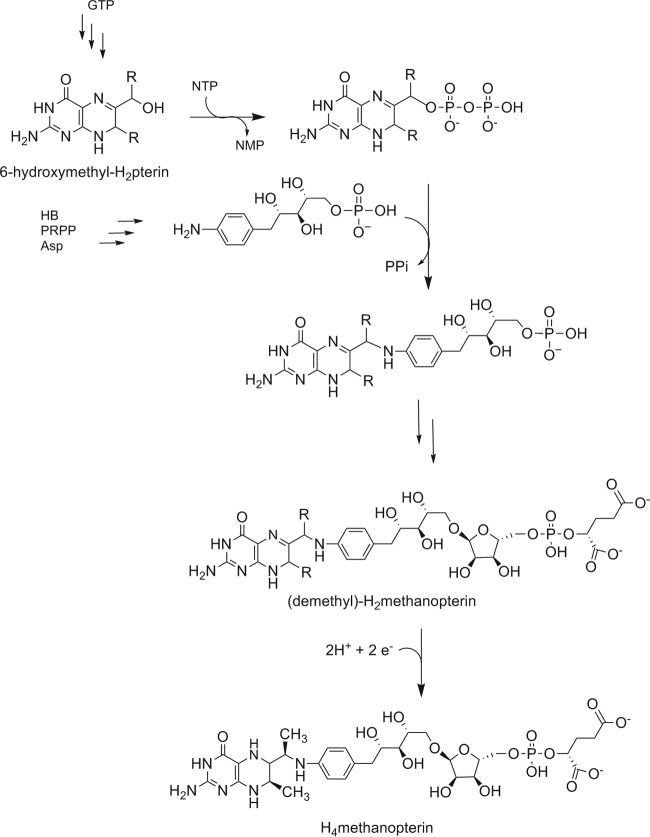 FIG 5