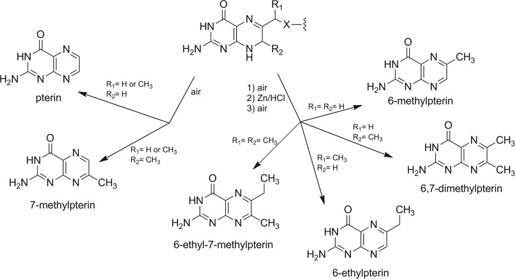 FIG 2