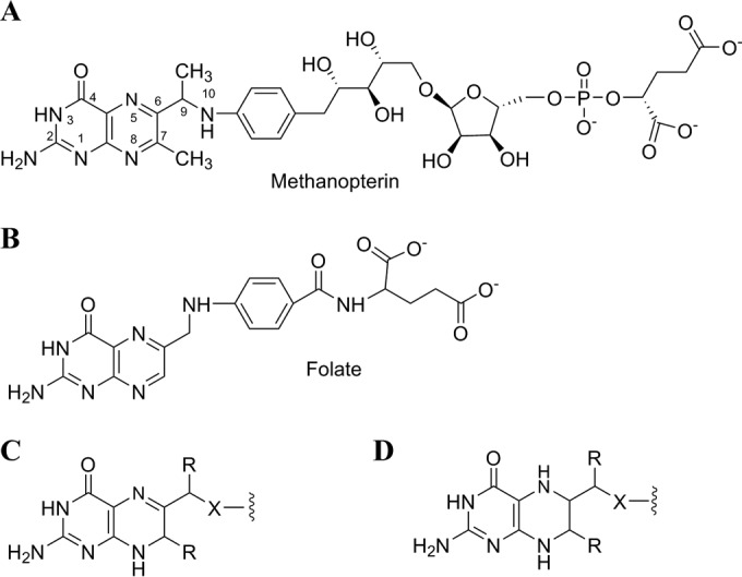 FIG 1