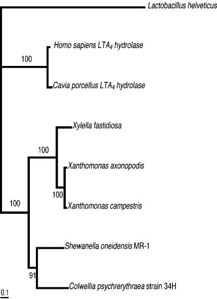 FIG. 5.