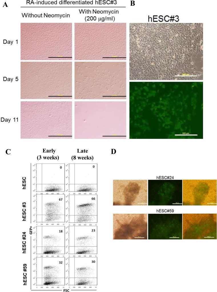 Figure 3.