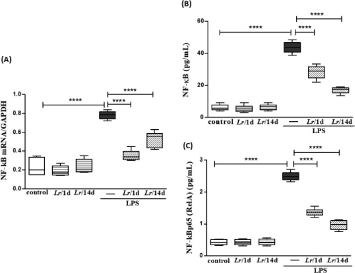 Fig. 11