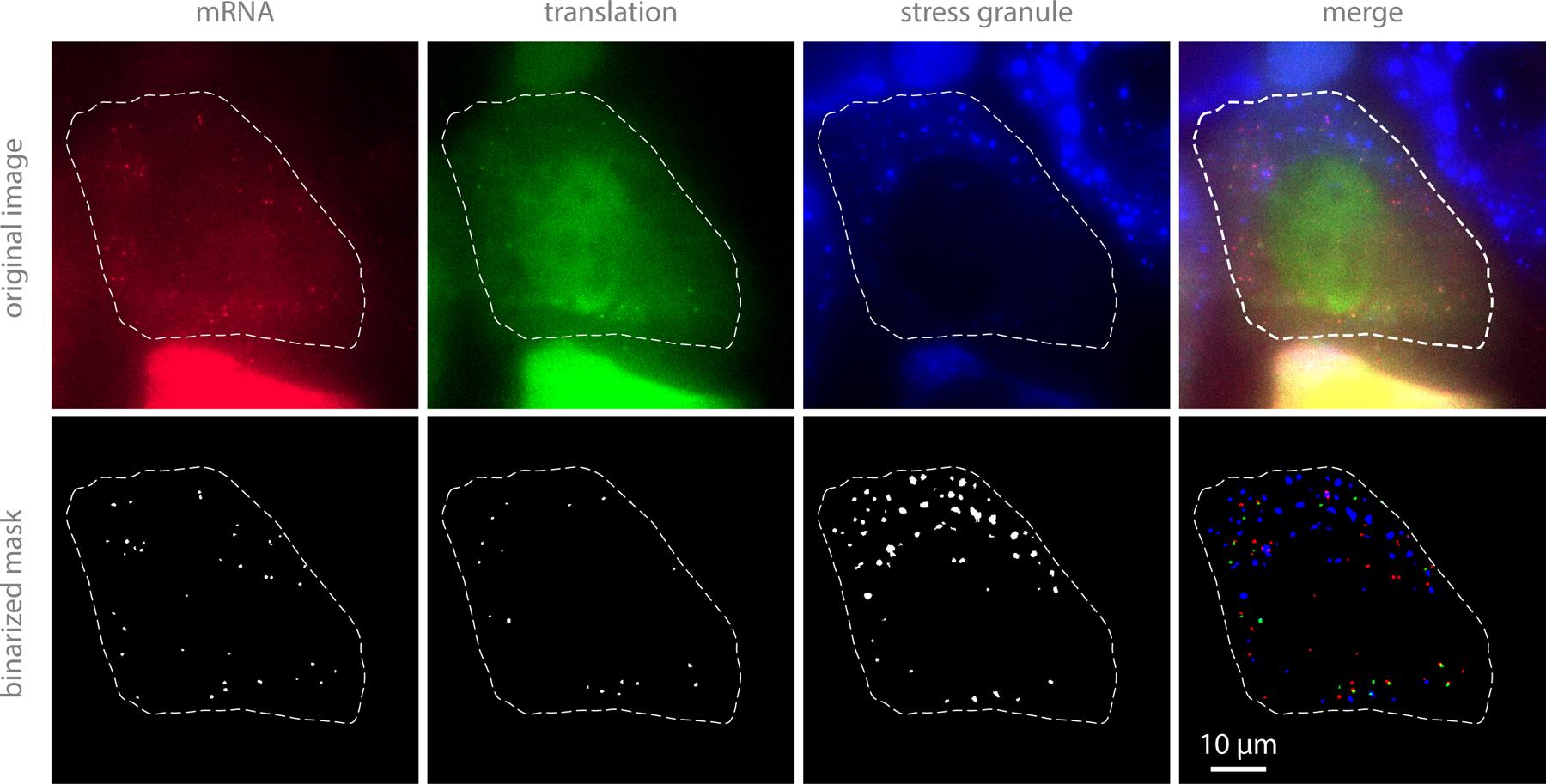 Figure 2: