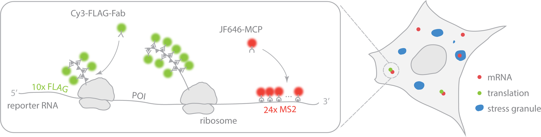 Figure 1: