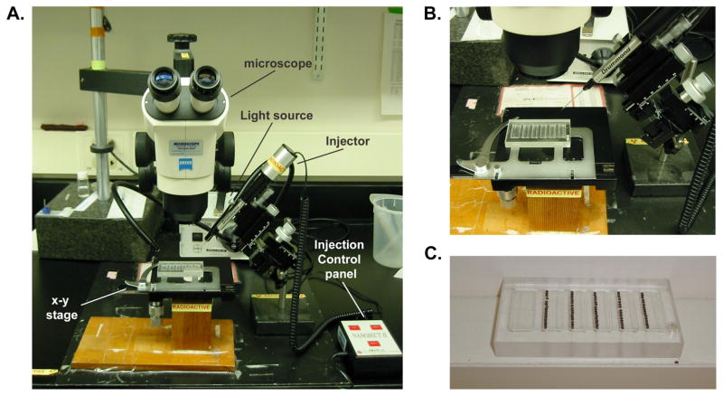 Figure 3.2