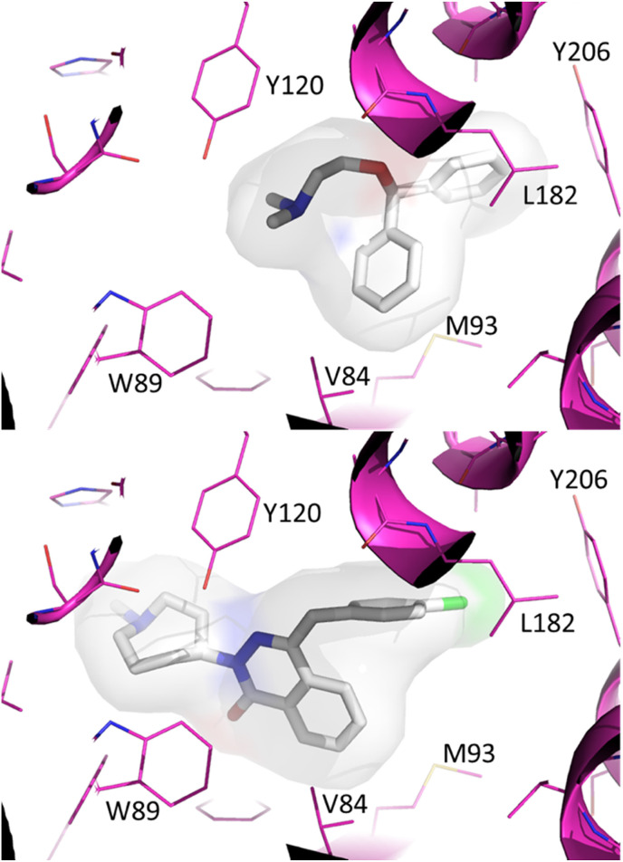 Fig. 3