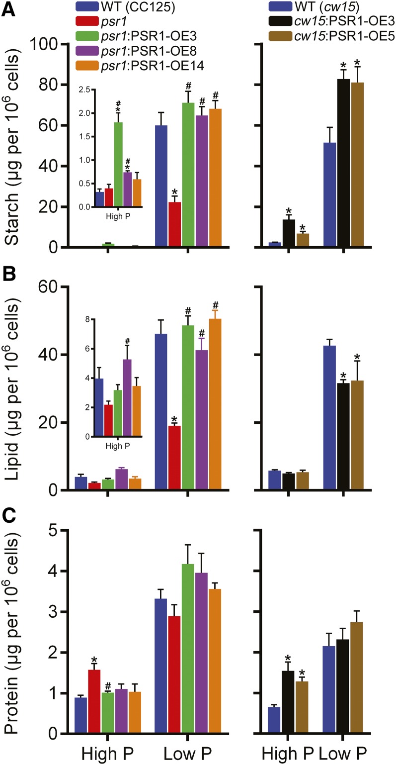 Figure 7.