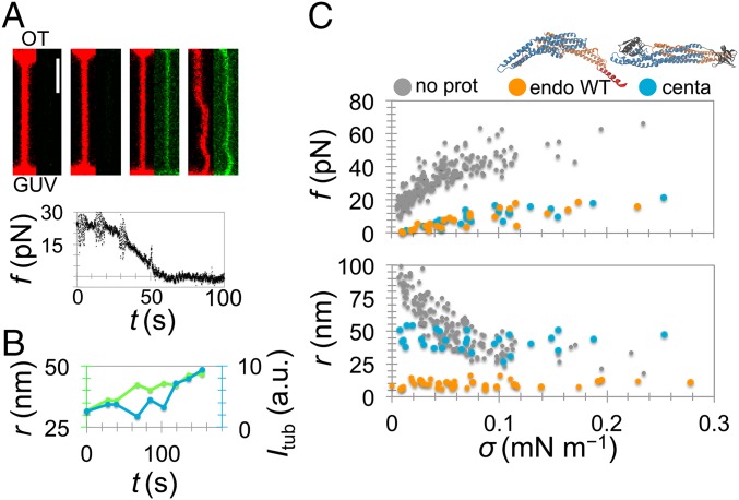 Fig. 2.