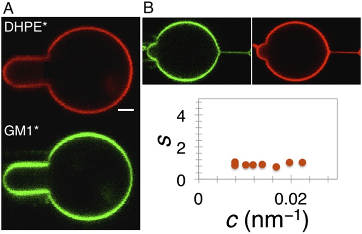 Fig. S3.