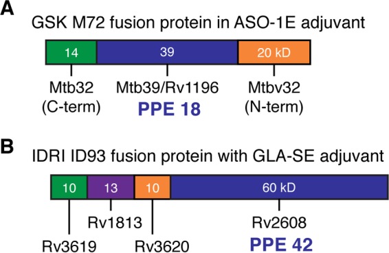 FIG 2