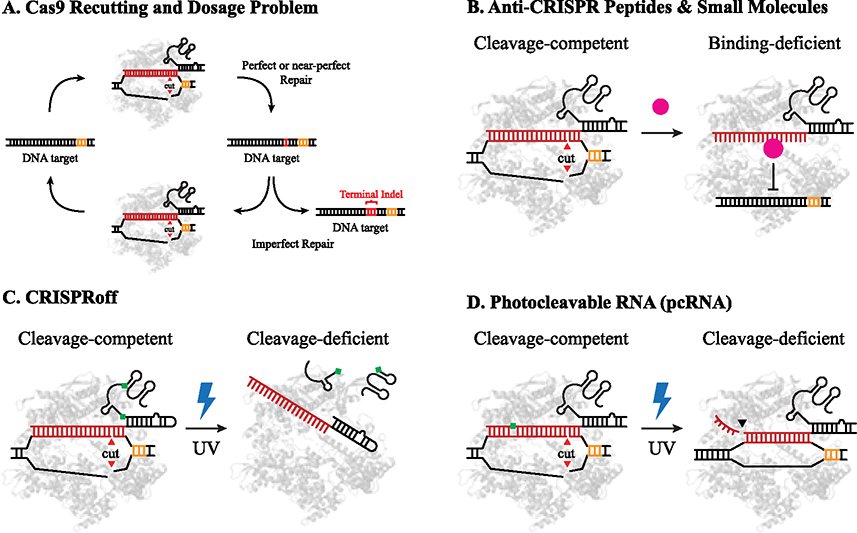 Figure 3.