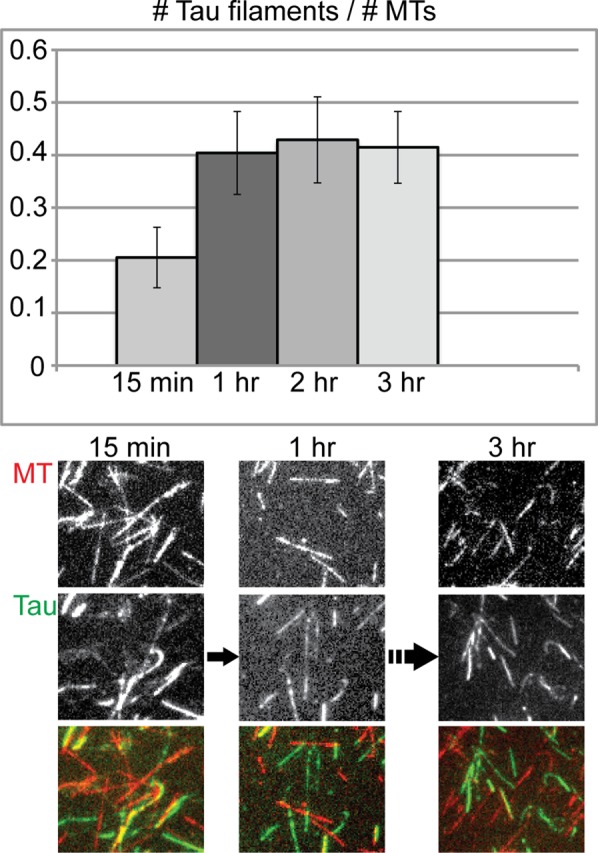 FIGURE 6: