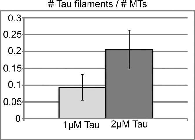 FIGURE 5: