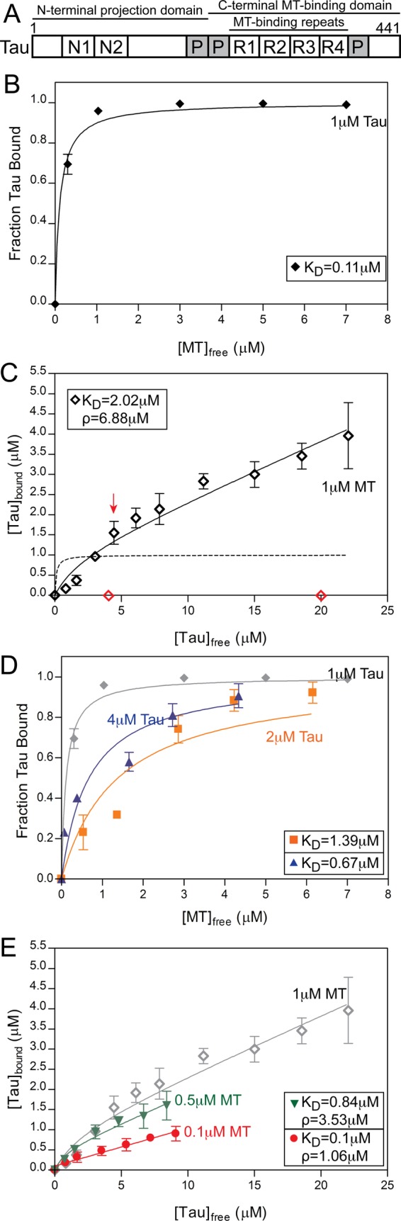 FIGURE 1: