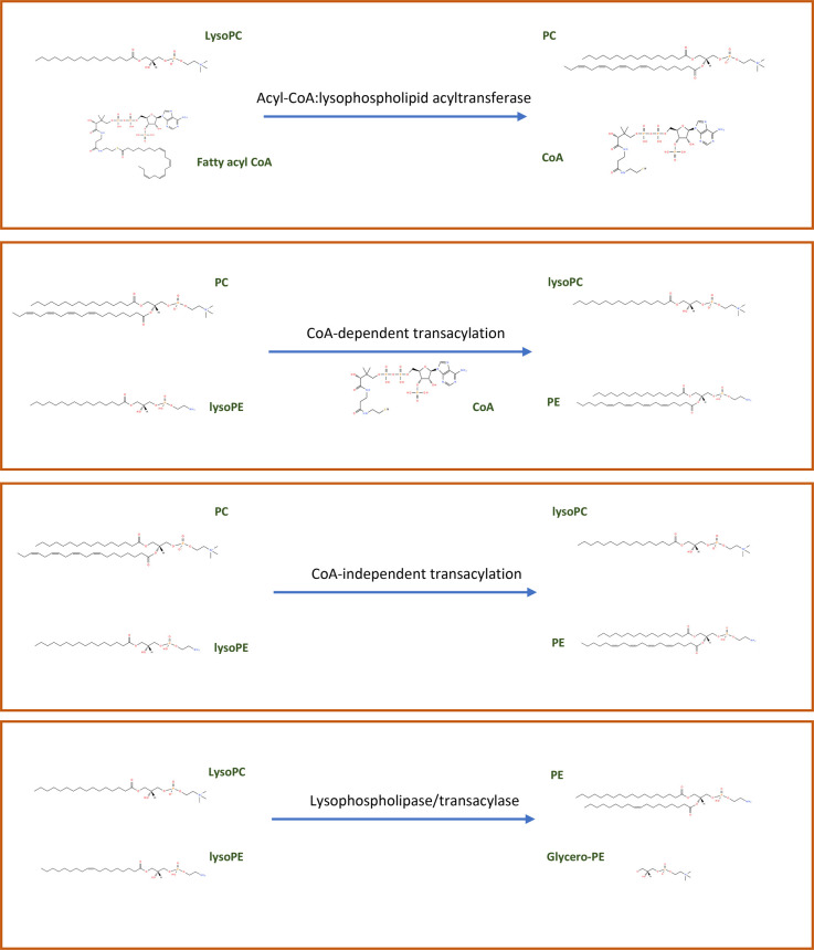 Figure 2.