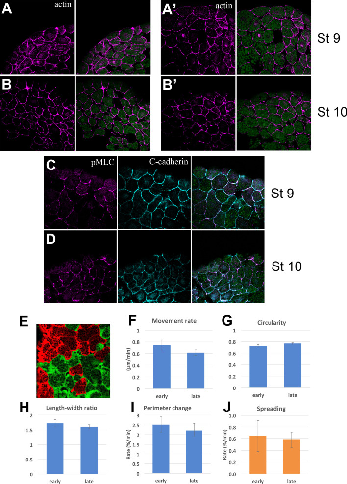 Figure 5—figure supplement 3.