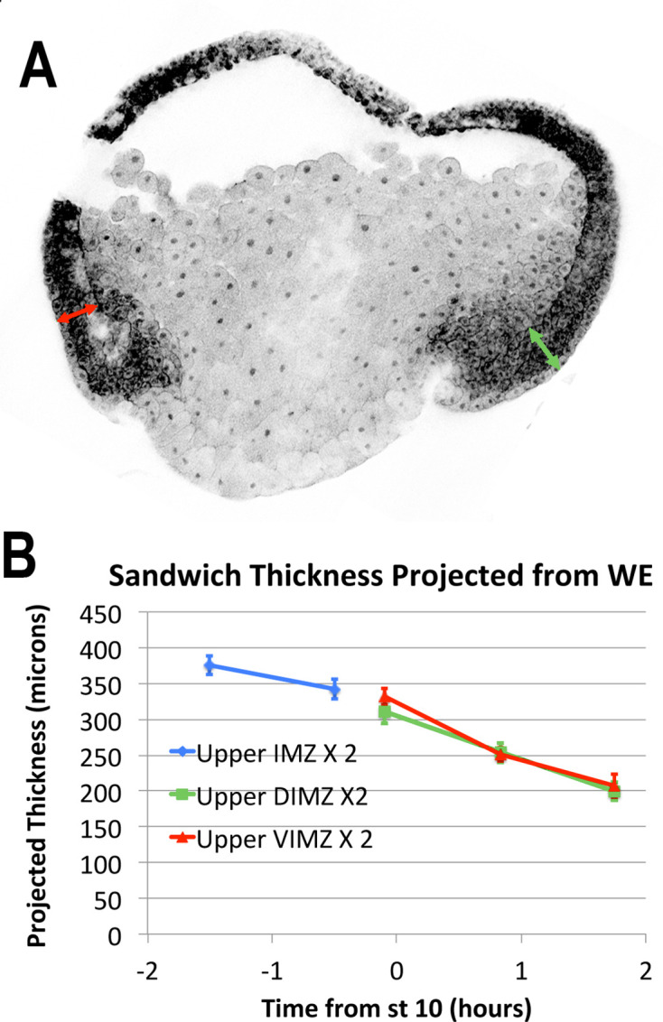 Figure 3—figure supplement 2.